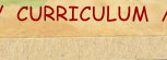 Curriculum